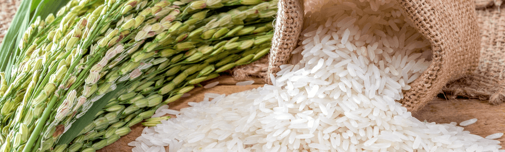 Rice - World Trade Goods